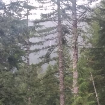 Rainbow Lodge Retreat Center - Venues & Event Spaces Near Me - North Bend, Washington