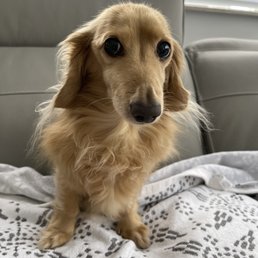 Prince Prince