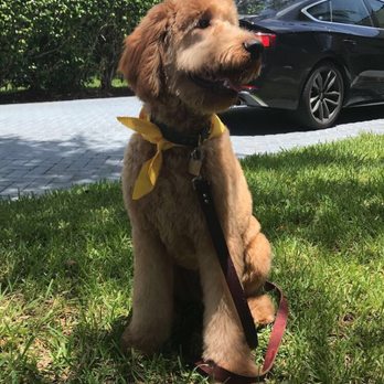 La Bone Pet Spa - Pet Stores Near Me - Cooper City, Florida