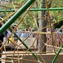 Photo of PlayTown Suwanee