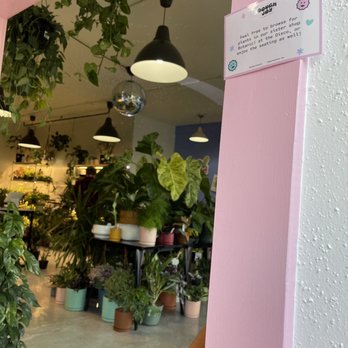 Dough Joy - Inside - Vegan Near Me - Seattle, Washington Dough Joy - Inside - Vegan Near Me - Seattle, Washington