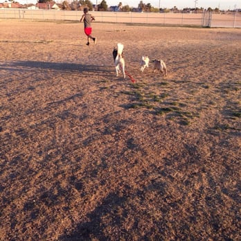 Barkin' Basin Dog Park - Dog Parks Near Me - Las Vegas, Nevada Barkin' Basin Dog Park - Dog Parks Near Me - Las Vegas, Nevada