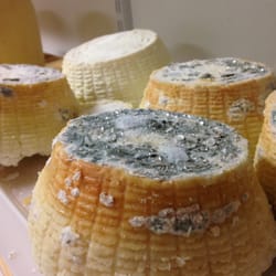 Wolf Meadow Farm - Ricotta salata