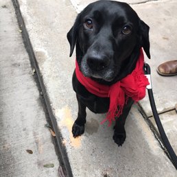 Missy came to say hi