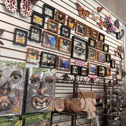 Lukas Nursery & Butterfly Encounter - Gift shop