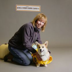 Sirius Strides Dog Training