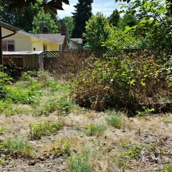 Hope Landscaping LLC - a back yard overgrown with weeds and weeds - Landscaping Near Me - Vancouver, Washington Hope Landscaping LLC - a back yard overgrown with weeds and weeds - Landscaping Near Me - Vancouver, Washington