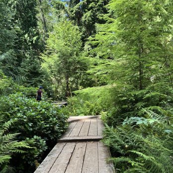 Bloedel Reserve - Small bridge - Parks Near Me - Bainbridge Island, Washington Bloedel Reserve - Small bridge - Parks Near Me - Bainbridge Island, Washington