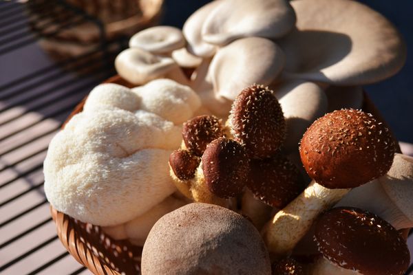 South Durham Farmers' Market by null