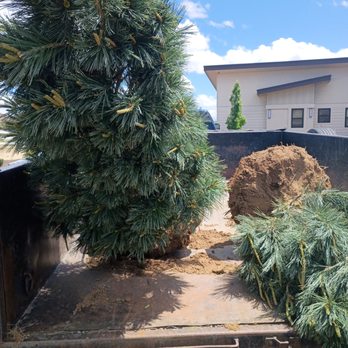 Yardas Ramirez - Landscaping Near Me - Reno, Nevada Yardas Ramirez - Landscaping Near Me - Reno, Nevada