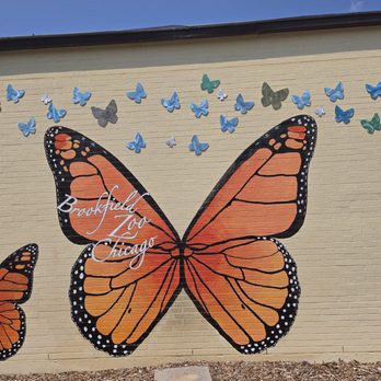 Brookfield Zoo Chicago - Another mural for the zoo - Zoos Near Me - Brookfield, Illinois