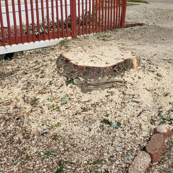 Z's Trees - Tree Services Near Me - Willis, Michigan Z's Trees - Tree Services Near Me - Willis, Michigan