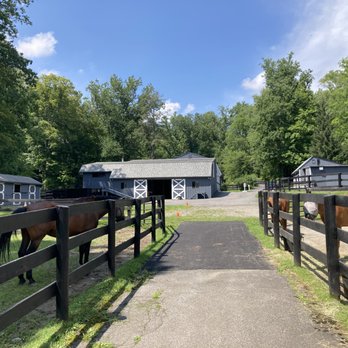 Termonn Stables - Horseback Riding Near Me - Yorktown Heights, New York Termonn Stables - Horseback Riding Near Me - Yorktown Heights, New York