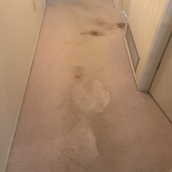 PHP Professional Cleaning - Carpet Cleaning Near Me PHP Professional Cleaning - Carpet Cleaning Near Me