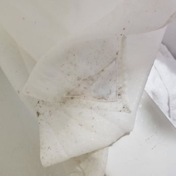 Best Western Crystal River Resort - Moldy bathroom (MUCH MORE IN ROOM) - Hotels Near Me - Crystal River, Florida Best Western Crystal River Resort - Moldy bathroom (MUCH MORE IN ROOM) - Hotels Near Me - Crystal River, Florida