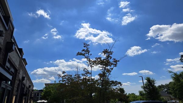 White Windmill Coffee and Bakery by null