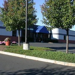 Rothman Orthopaedics