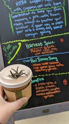 Gallivant Coffee by null