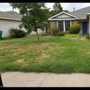 Photo of AM Lawn Care