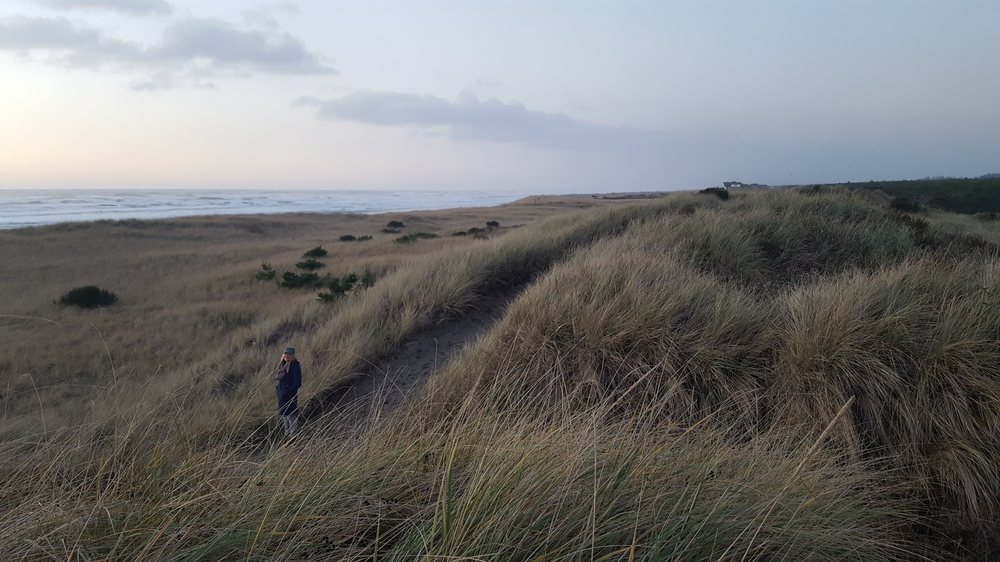 TWIN HARBORS STATE PARK 41 Photos & 45 Reviews 3120 Hhwy 105, Westport, WA Yelp