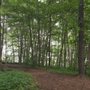 Photo of Blue Ridge Gap
