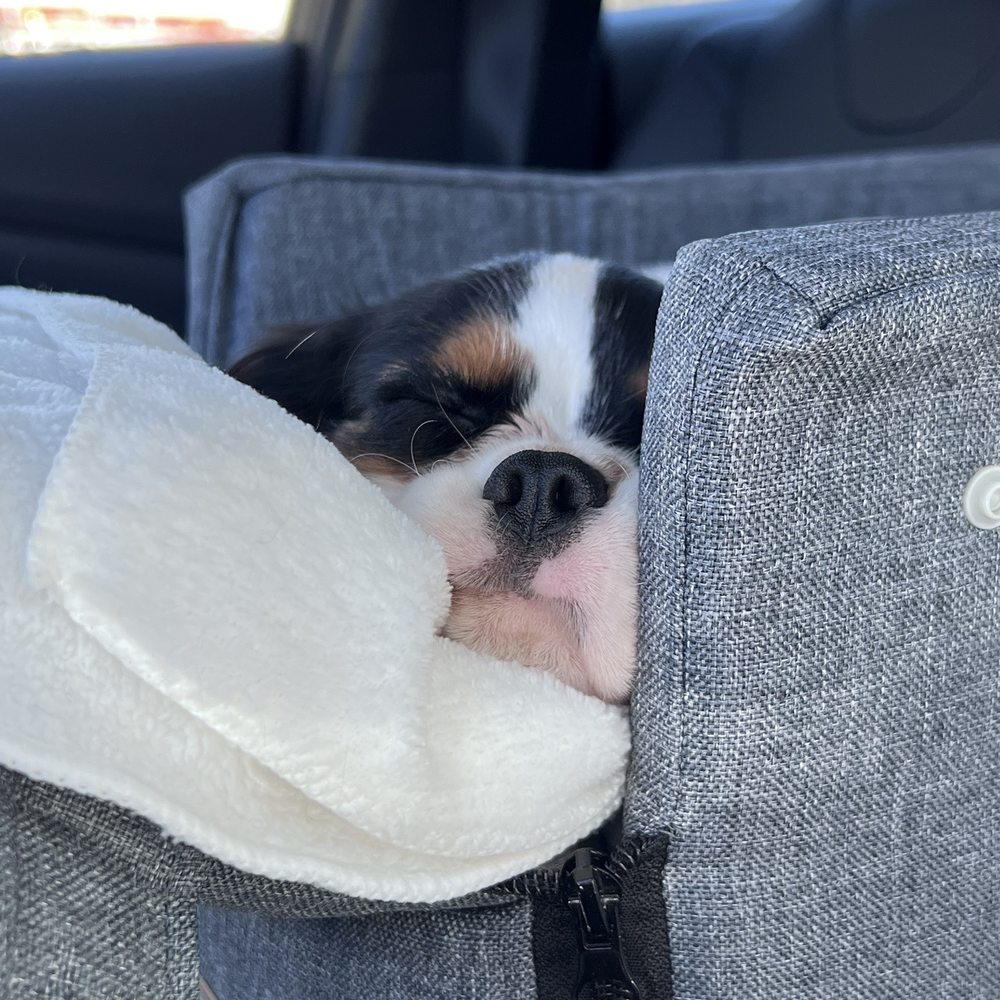 Squish
