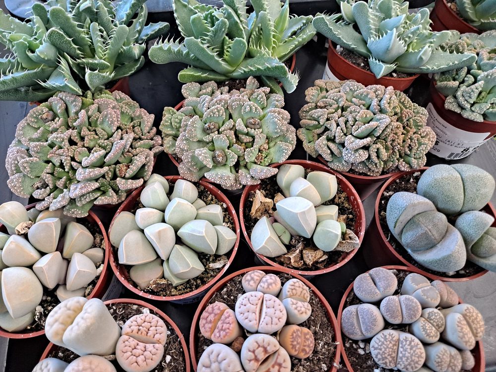 DALE HARDWARE Updated May 2024 364 Photos & 490 Reviews 3700