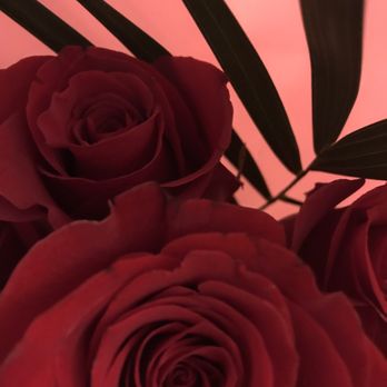 Karen's Flower Shop - Florists Near Me - Milton, Ontario Karen's Flower Shop - Florists Near Me - Milton, Ontario