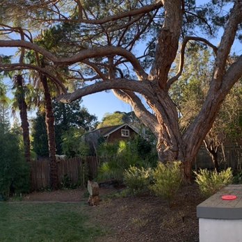 Leo's Tree Service - After! - Tree Services Near Me Leo's Tree Service - After! - Tree Services Near Me
