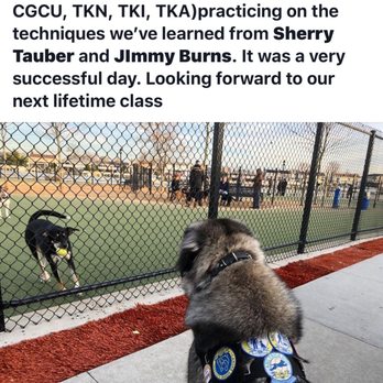 Maximum K9 Service - Having support from the trainers, Sherry Tauber and Jimmy Burns, at Maximum K9 always lets me train with positive reinforcements. - Pet Training Near Me - Deer Park, New York Maximum K9 Service - Having support from the trainers, Sherry Tauber and Jimmy Burns, at Maximum K9 always lets me train with positive reinforcements. - Pet Training Near Me - Deer Park, New York
