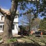 Photo of Advantage Tree Services