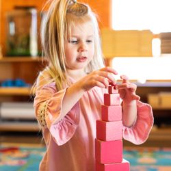 Minnesota Montessori Accelerated Learning Center