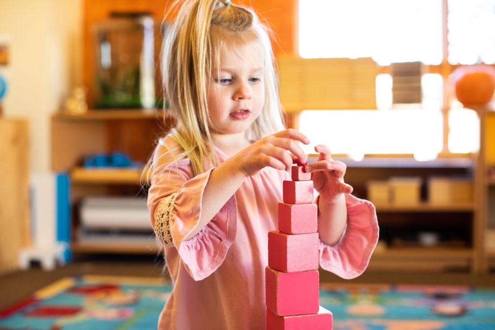 Minnesota Montessori Accelerated Learning Center - childcare center in Shakopee, MN
