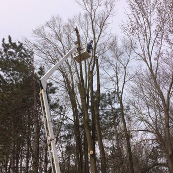 My Tree Guy - Tree Removal in Hudsonville, Michigan - Tree Services Near Me - Hudsonville, Michigan My Tree Guy - Tree Removal in Hudsonville, Michigan - Tree Services Near Me - Hudsonville, Michigan