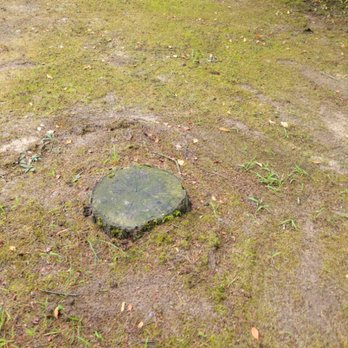 Reyna Stump Grinding - Tree Services Near Me - Florence, Kentucky Reyna Stump Grinding - Tree Services Near Me - Florence, Kentucky