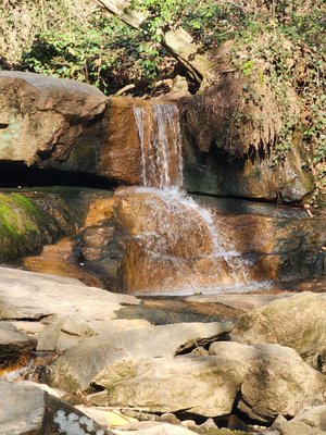 Cascade Springs Nature Preserve by null