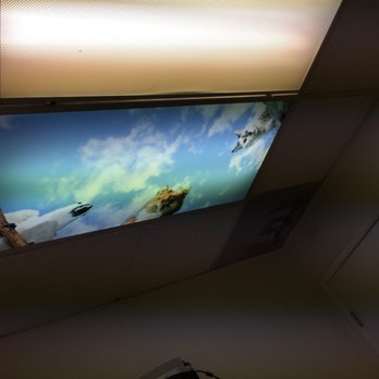 vca parkwood animal hospital