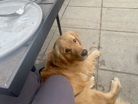 Provisions Restaurant and Market by null