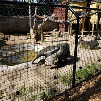 Central Coast Zoo - Zoos Near Me - Atascadero, California Central Coast Zoo - Zoos Near Me - Atascadero, California