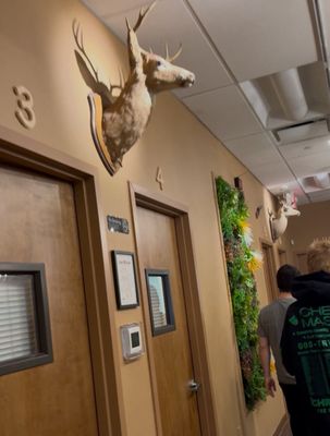 Shashlik House by null