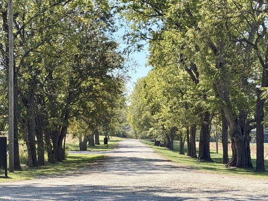 Bluegrass Distillers at Elkwood Farm by null
