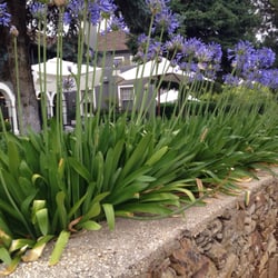 The Argus Dining Room - Gorgeous gardens at the front, inside is just as lovely!