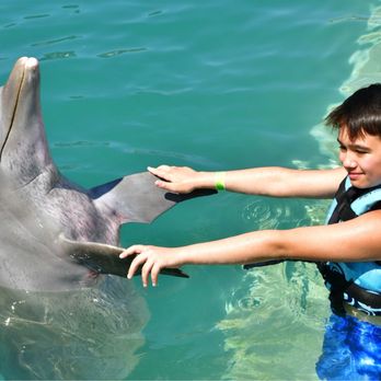 Dolphin Discovery Costa Maya - Water Parks Near Me - Mahahual, ROO