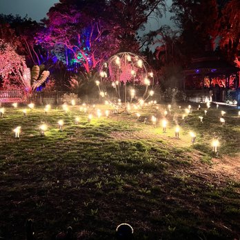 Lightscape San Diego - Botanical Gardens Near Me - Encinitas, California