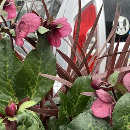 Time to get some spring time onto the patio. Time to get some spring time onto the patio.