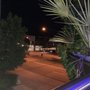 Photo of Kreiller's