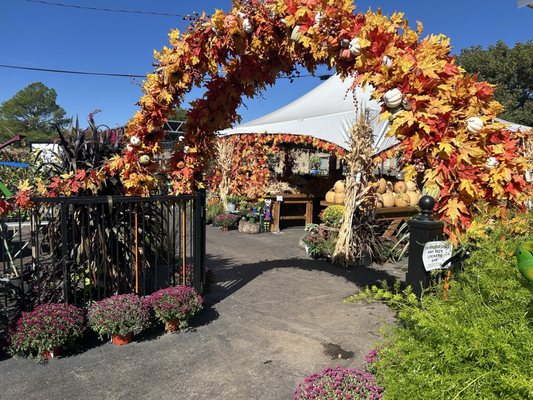 Green's Produce and Plants by null