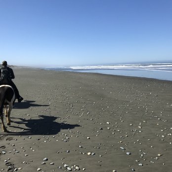 Crescent Trail Rides - Perfect beautiful beach day - Horseback Riding Near Me Crescent Trail Rides - Perfect beautiful beach day - Horseback Riding Near Me