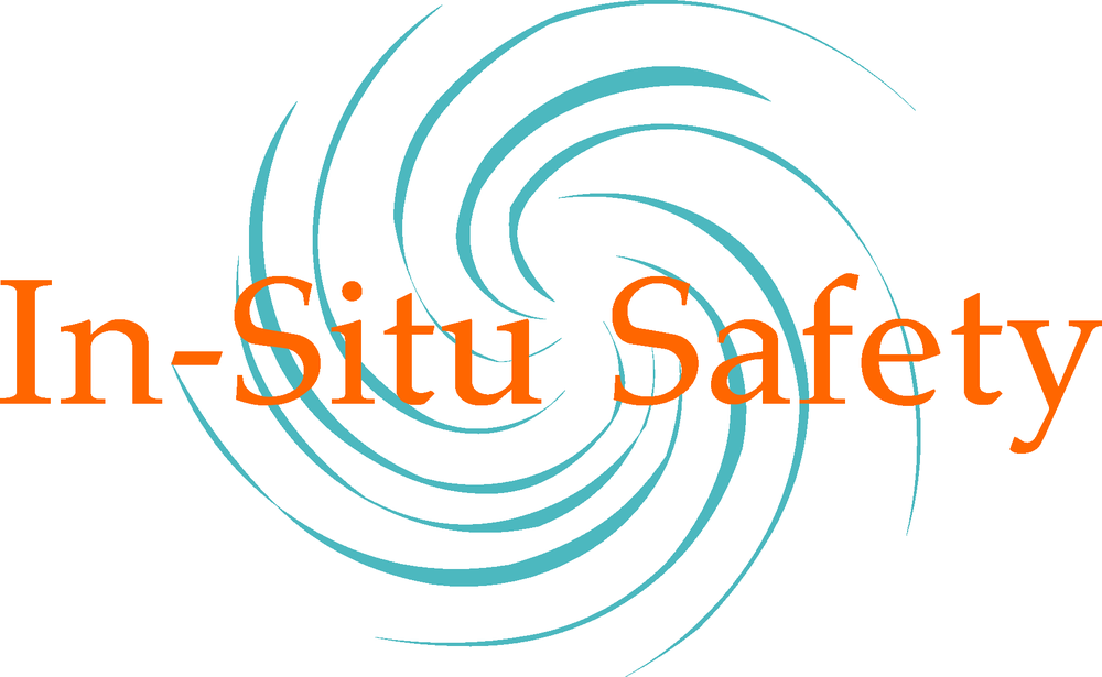 In Situ Safety - safety consultant in Kyle, TX