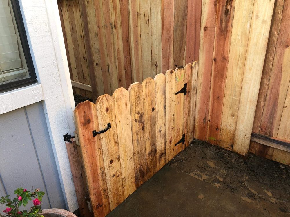 Slide of Fence Mixalev